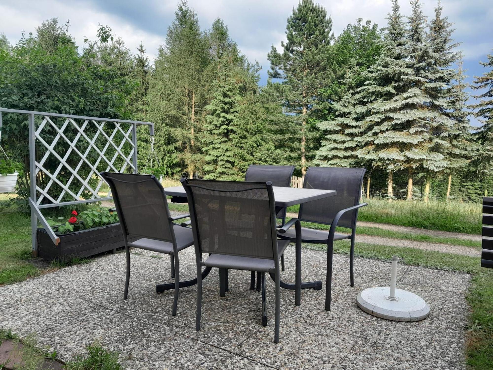 Ferienwohnung Blick Zum Zirkelstein Reinhardtsdorf-Schona Esterno foto