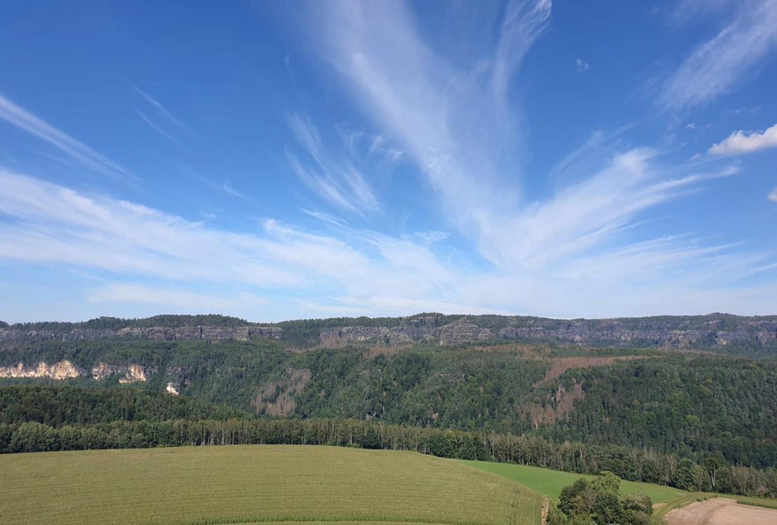 Ferienwohnung Blick Zum Zirkelstein Reinhardtsdorf-Schona Esterno foto