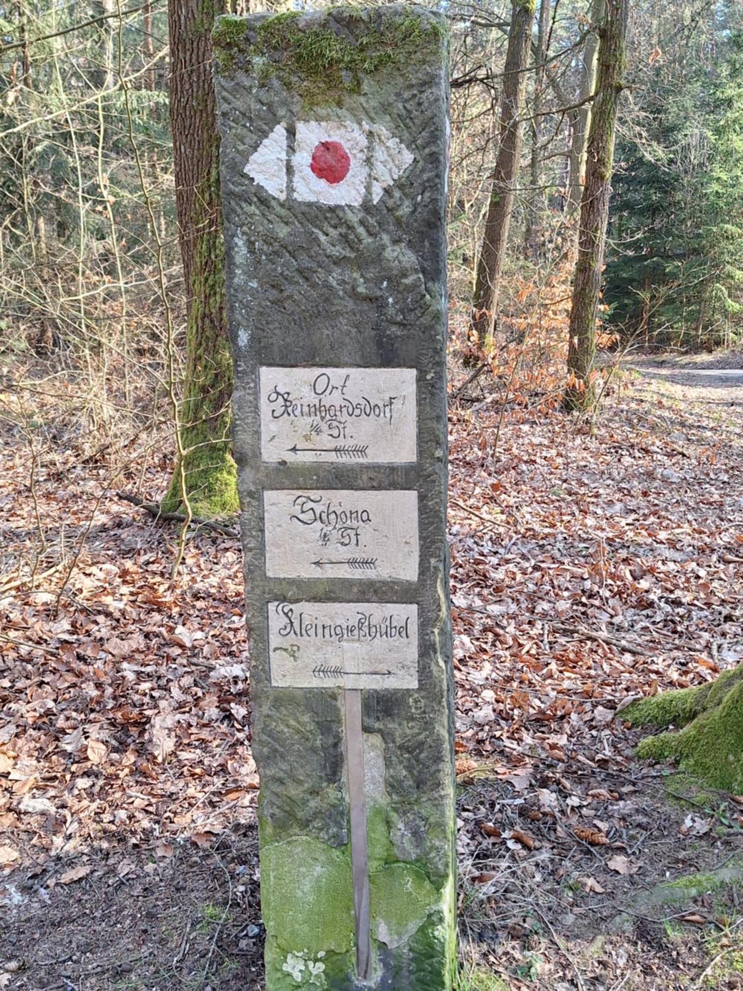 Ferienwohnung Blick Zum Zirkelstein Reinhardtsdorf-Schona Esterno foto