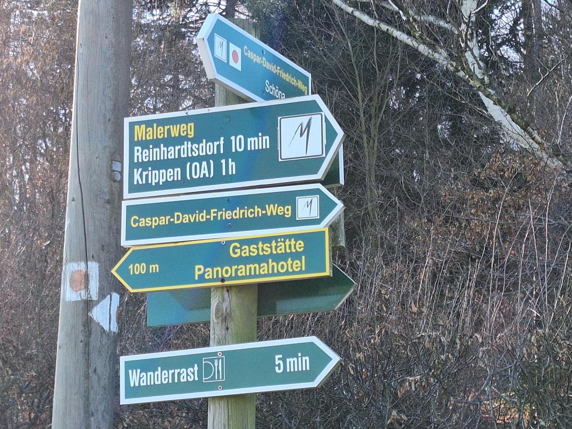 Ferienwohnung Blick Zum Zirkelstein Reinhardtsdorf-Schona Esterno foto